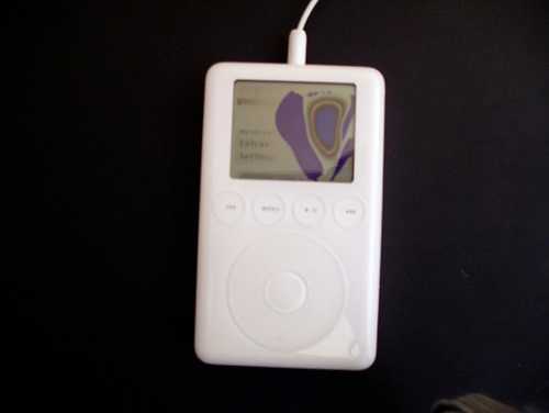 dead ipod lcd - 2